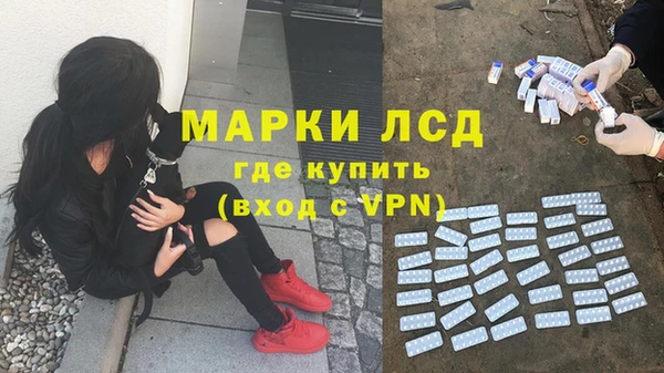 ECSTASY Абаза