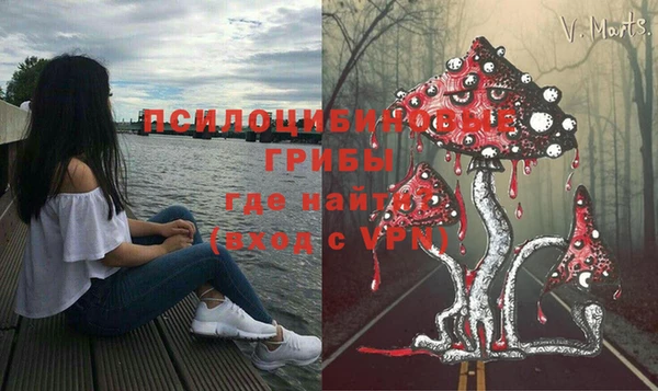 ГАЛЛЮЦИНОГЕННЫЕ ГРИБЫ Абдулино