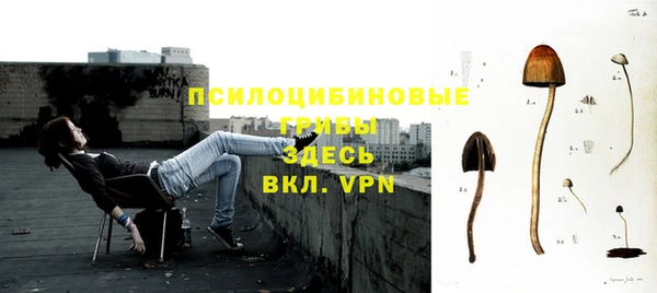 ECSTASY Абаза