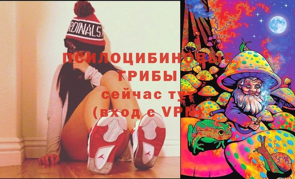 ГАЛЛЮЦИНОГЕННЫЕ ГРИБЫ Абдулино