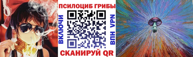 MEGA онион  Власиха  Галлюциногенные грибы ЛСД  закладка 